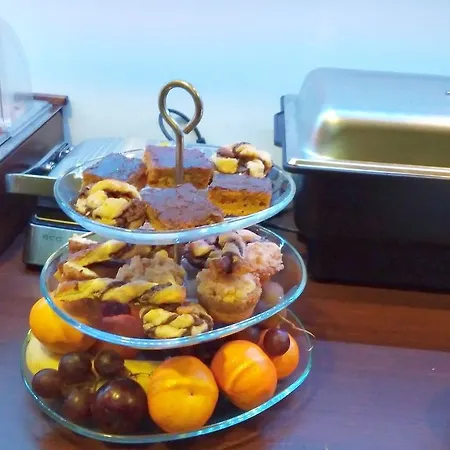 红宝石蓝光酒店 4* 俄斯特拉发